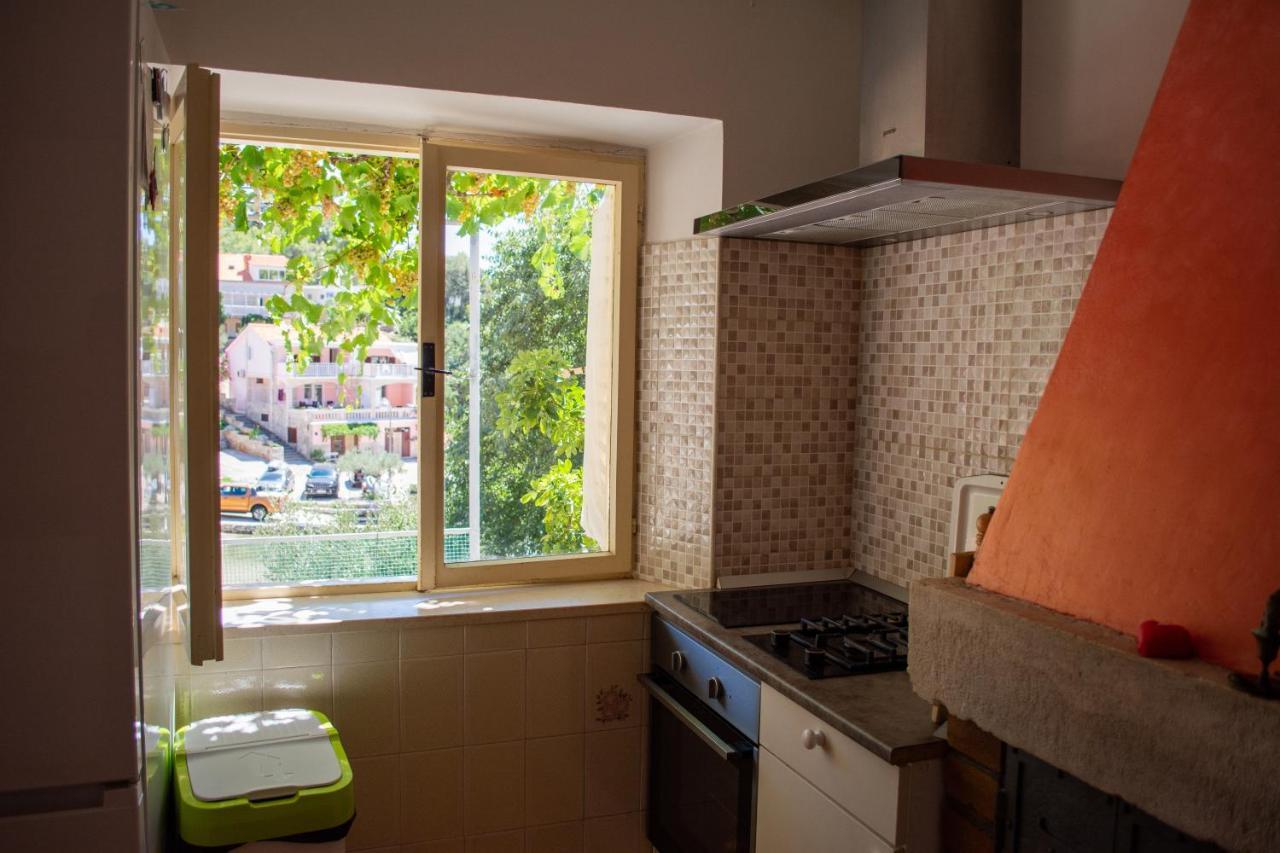 Stone House Dioniz Villa Brnistrova Bagian luar foto